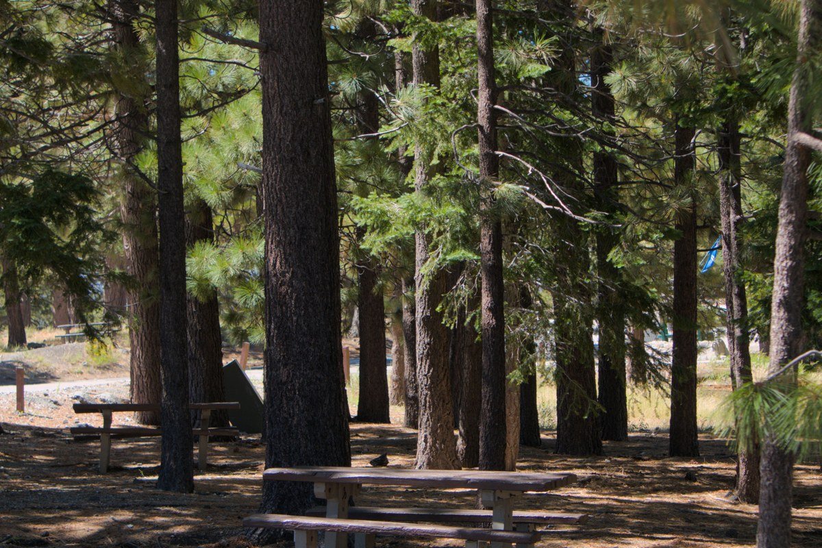Oak Creek shallow wading spot shaded picnic area red rock canyon walls Arizona