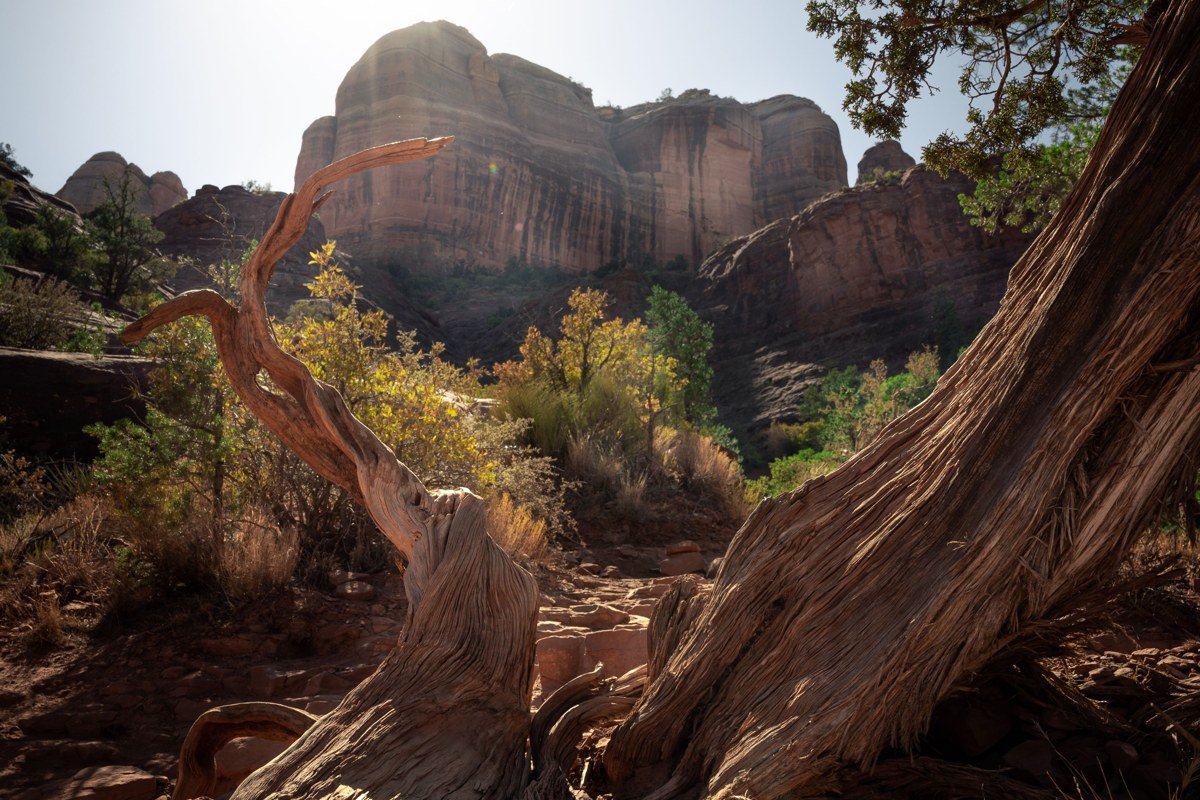 Red Rock Crossing Oak Creek Cathedral Rock reflection Sedona Arizona sunset