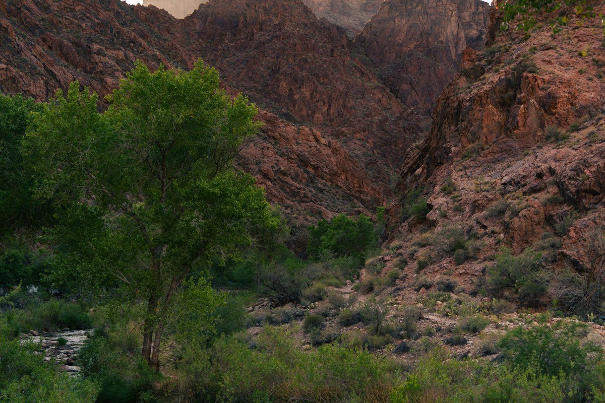 Pink light pooling in the lower folds of Oak Creek Canyon, shot from the rim overlook