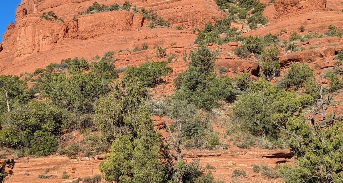 Sedona's Vortex Sites Nobody Can Agree On: 8 Red Rock Spots Worth Judging Yourself
