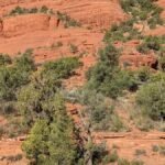 Sedona's Vortex Sites Nobody Can Agree On: 8 Red Rock Spots Worth Judging Yourself