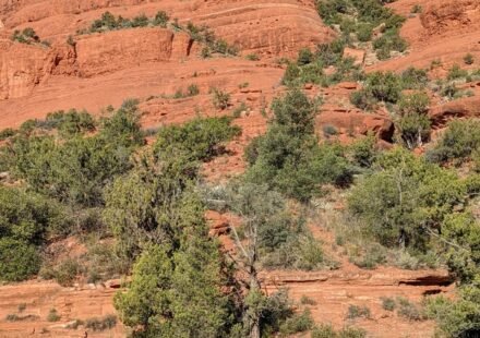 Sedona's Vortex Sites Nobody Can Agree On: 8 Red Rock Spots Worth Judging Yourself