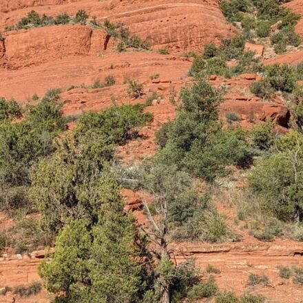 Sedona's Vortex Sites Nobody Can Agree On: 8 Red Rock Spots Worth Judging Yourself