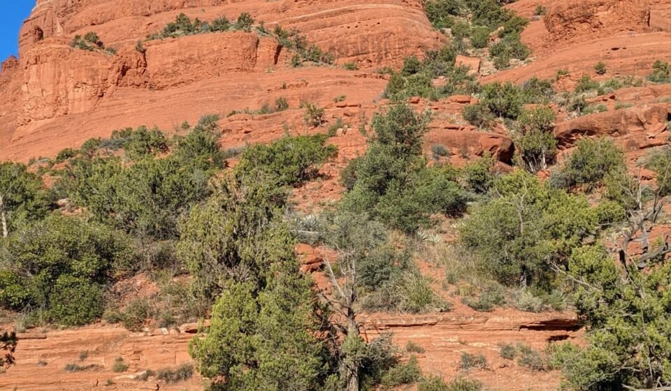 Sedona’s Vortex Sites Nobody Can Agree On: 8 Red Rock Spots Worth Judging Yourself Sedona's Vortex Sites Nobody Can Agree On: 8 Red Rock Spots Worth Judging Yourself