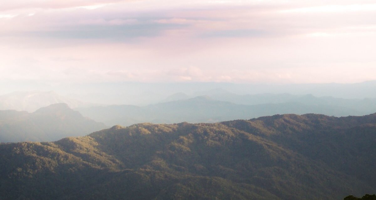 The Smoky Mountains' Quietest Sunrise Pullouts: 10 Overlooks Tour Buses Skip