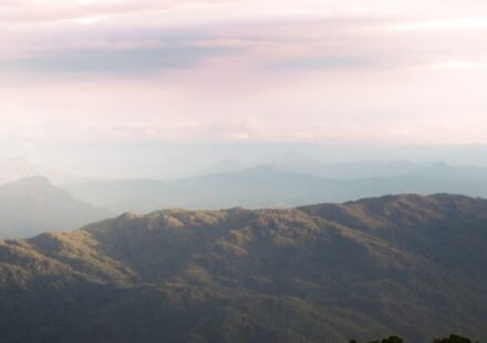 The Smoky Mountains' Quietest Sunrise Pullouts: 10 Overlooks Tour Buses Skip