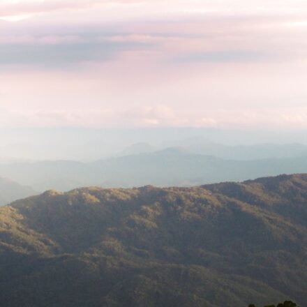 The Smoky Mountains' Quietest Sunrise Pullouts: 10 Overlooks Tour Buses Skip