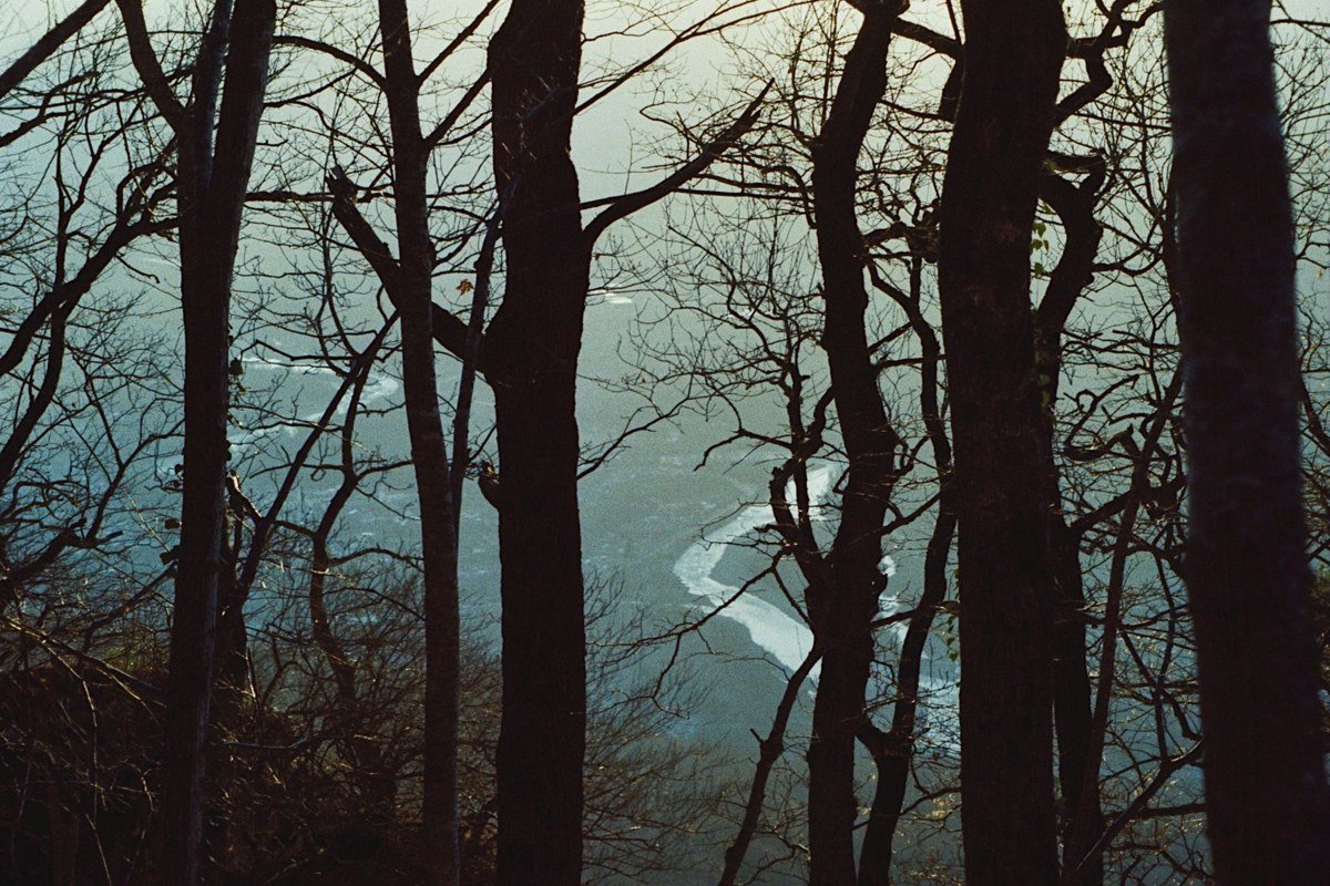bare spring trees framing a fog-filled valley along Foothills Parkway at first light