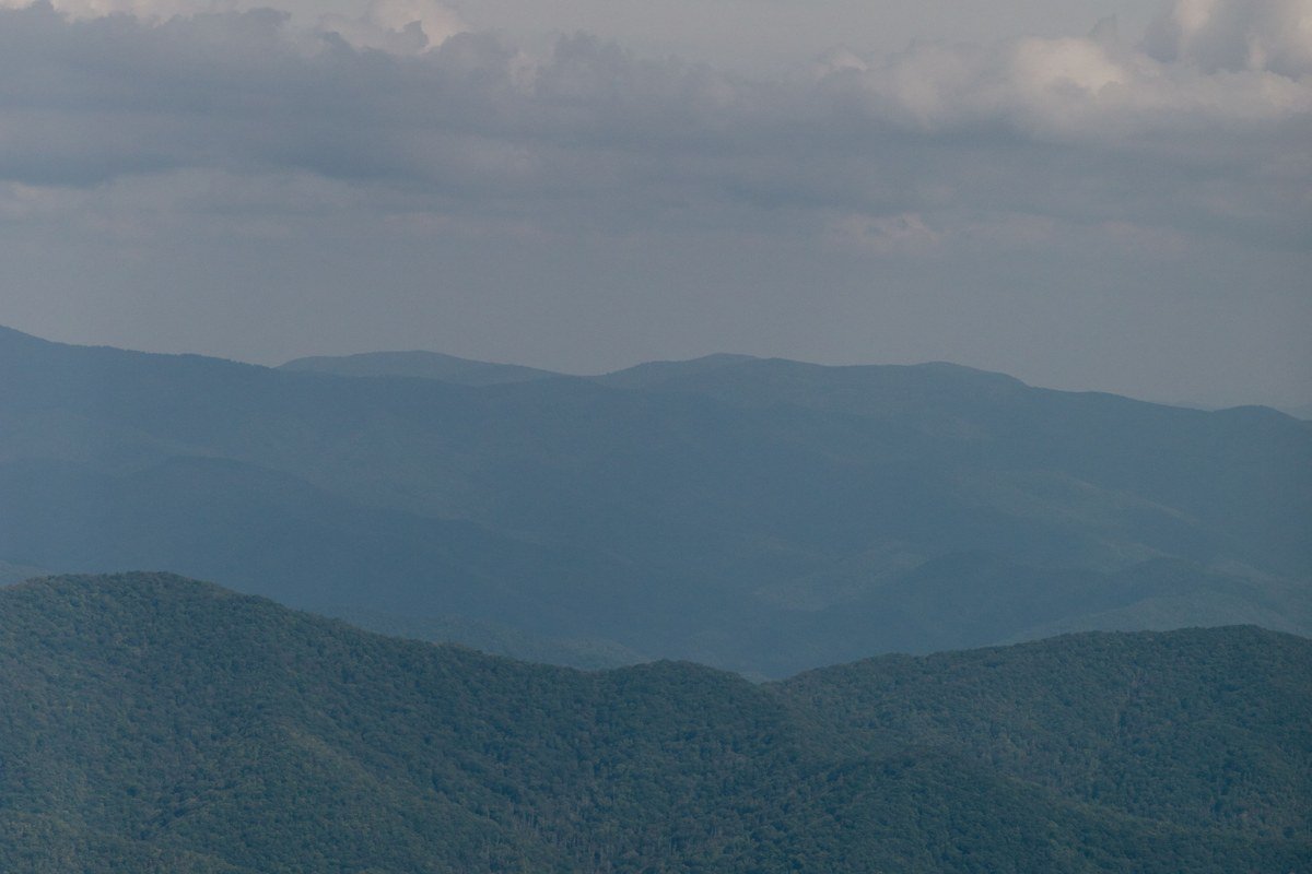 a steel fire tower rising above mist-covered ridgelines in the Smokies