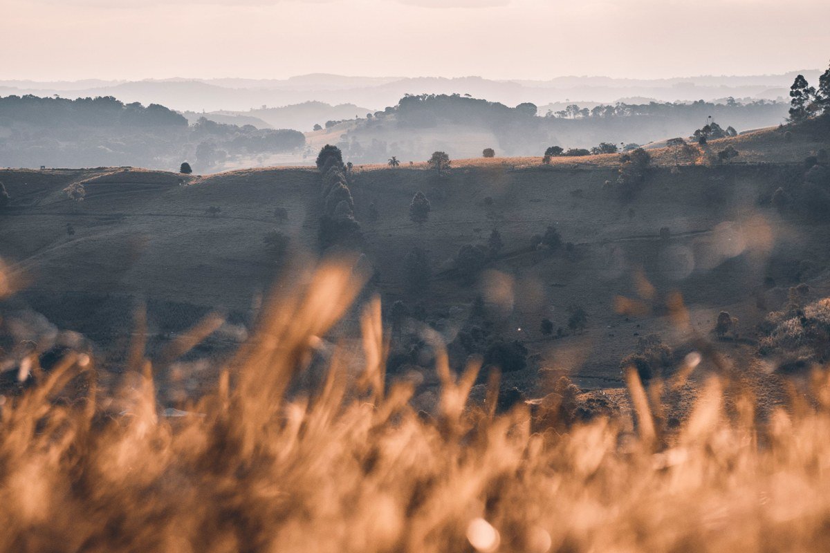frost-dusted grass on the Max Patch bald as sunrise fog sits in the valleys below