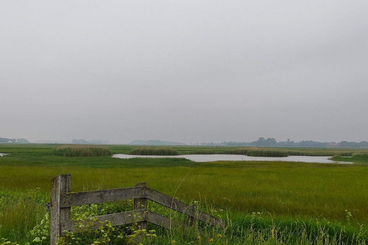 Seney National Wildlife Refuge wetlands with fog rising off marsh grass