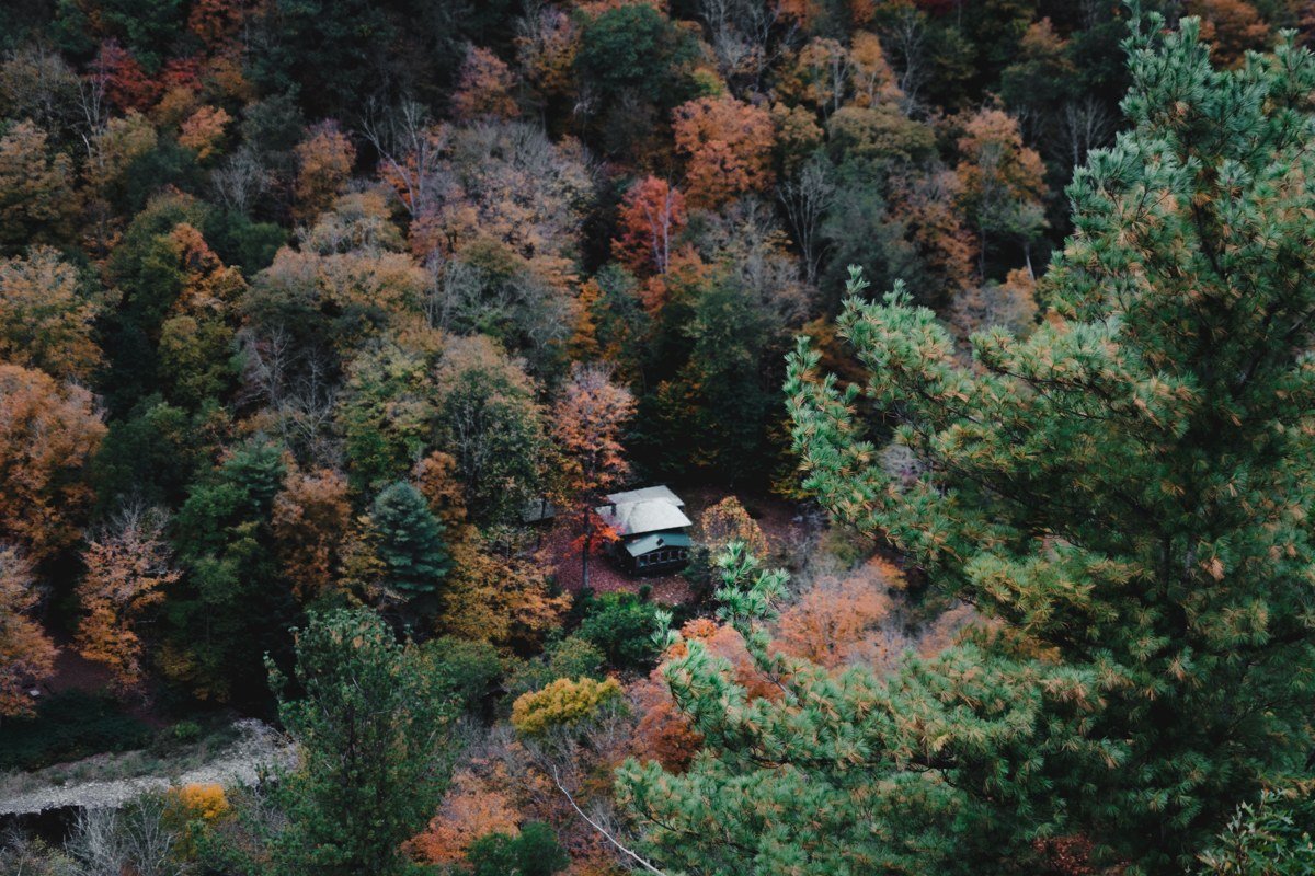 Hawks Nest State Park overlook above the New River Gorge West Virginia with fall colors