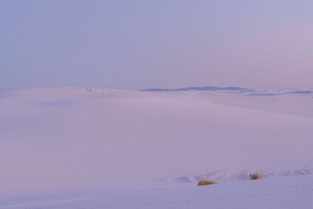 Alkali Flat Trail White Sands at dusk, red trail markers across vast dune field