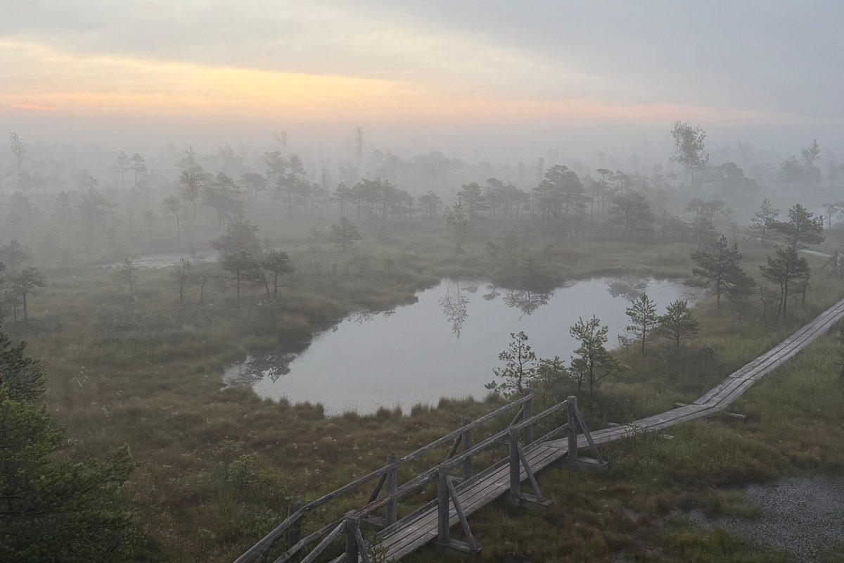 Seney National Wildlife Refuge Michigan wetlands fog over marsh at sunrise
