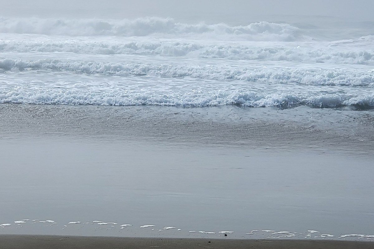 wide misty Pacific Northwest coastline with sea stacks fading into layered fog banks